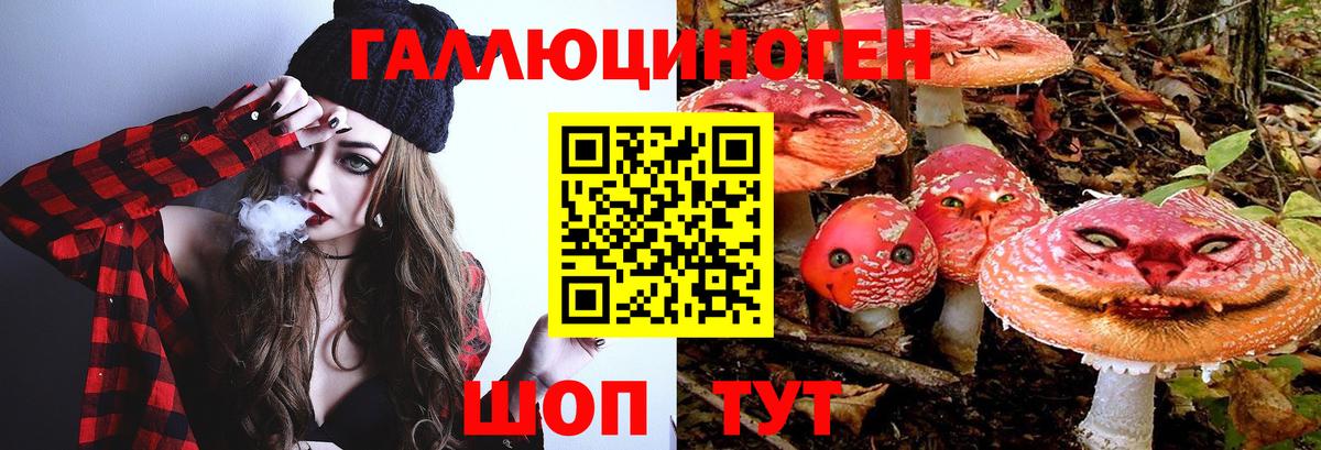 Галлюциногенные грибы Psilocybine cubensis  Псилоцибиновые грибы GOLDEN TEACHER  Таганрог  Вход с VPN 
